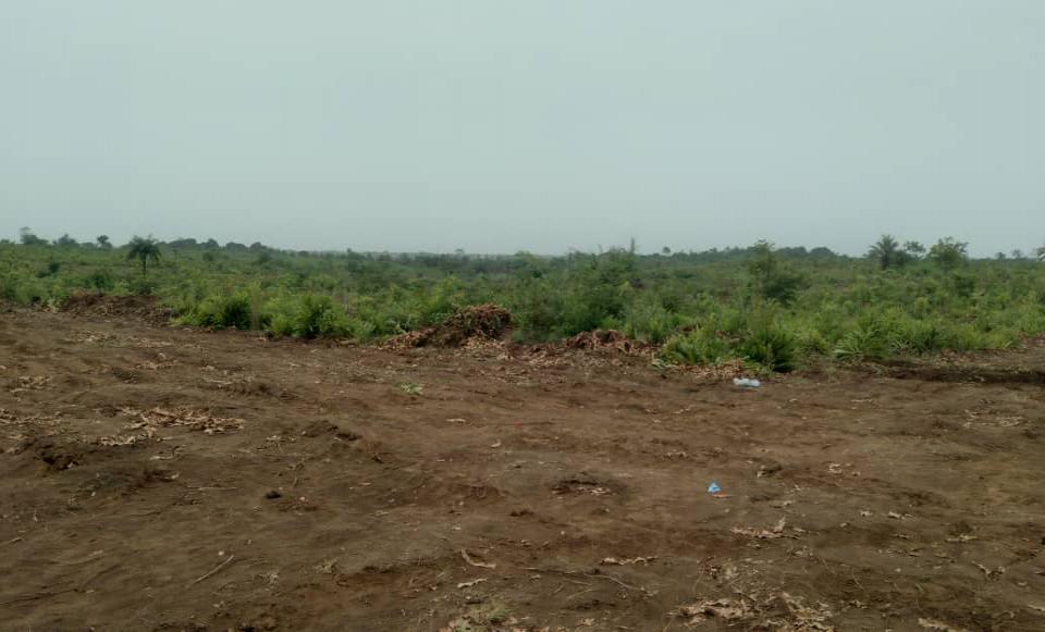 WONKIFONG PRéFINANCEMENT